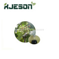 /msite/products/detail/productid/63016333/id/1511907.html